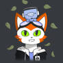 Blinx Corps turns 1!