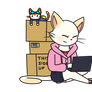 Moving Boxes and Blinx Files