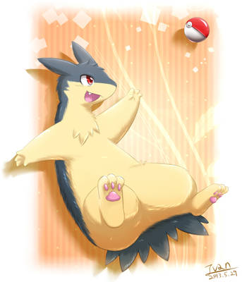 Typhlosion  WW