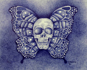 Skullbutterfly