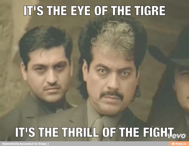 Eye Of The Tigres