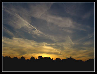 feathers in the sky