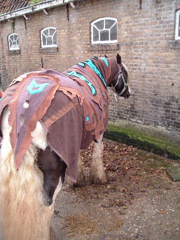 Horse blanket:: FINISHED