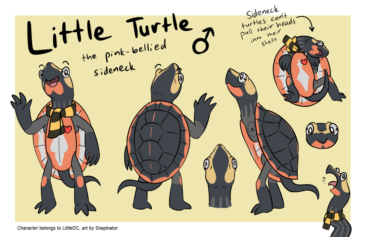 COMMISSION: Little Turtle reference sheet by Snapinator on DeviantArt
