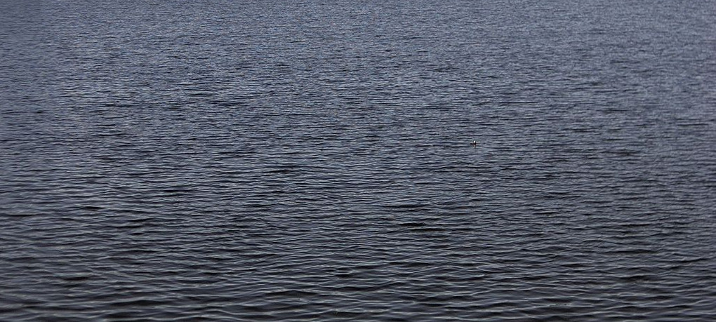 WASSER-Seehausen 2 2025-04-23 1200a