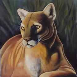 Cougar Painting on Canvas