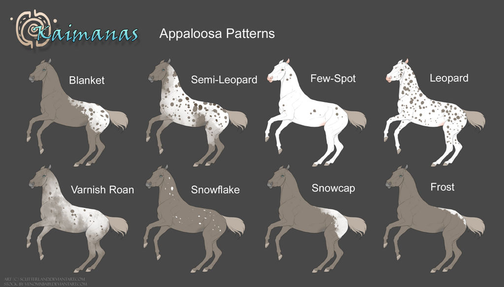 Appaloosa Patterns Marking Sheet By IslandSpirit On DeviantArt appaloosa-patterns-marking-sheet-by-islandspirit-on-deviantart