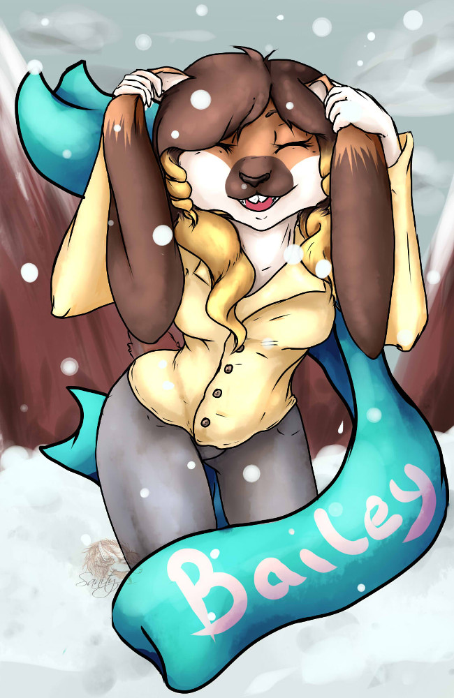 Bailey badge