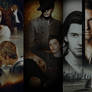 The Mortal Instruments