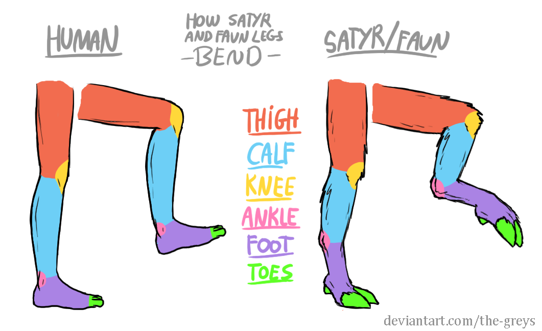 Faun Legs Pattern How Satyr and Faun Legs Bend by The-Greys on DeviantArt