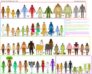Anatomy of Allkind 2022 (SFW Version)