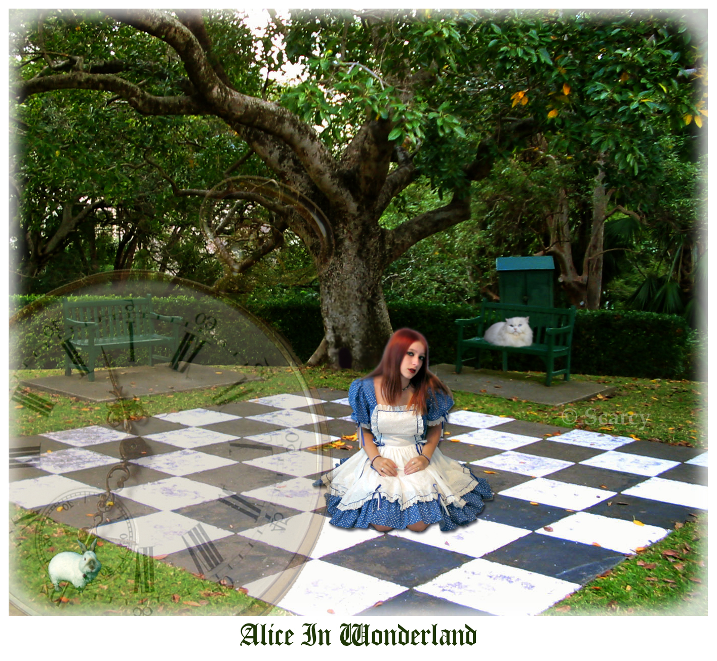 Alice In Wonderland