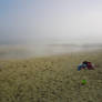 misty beach