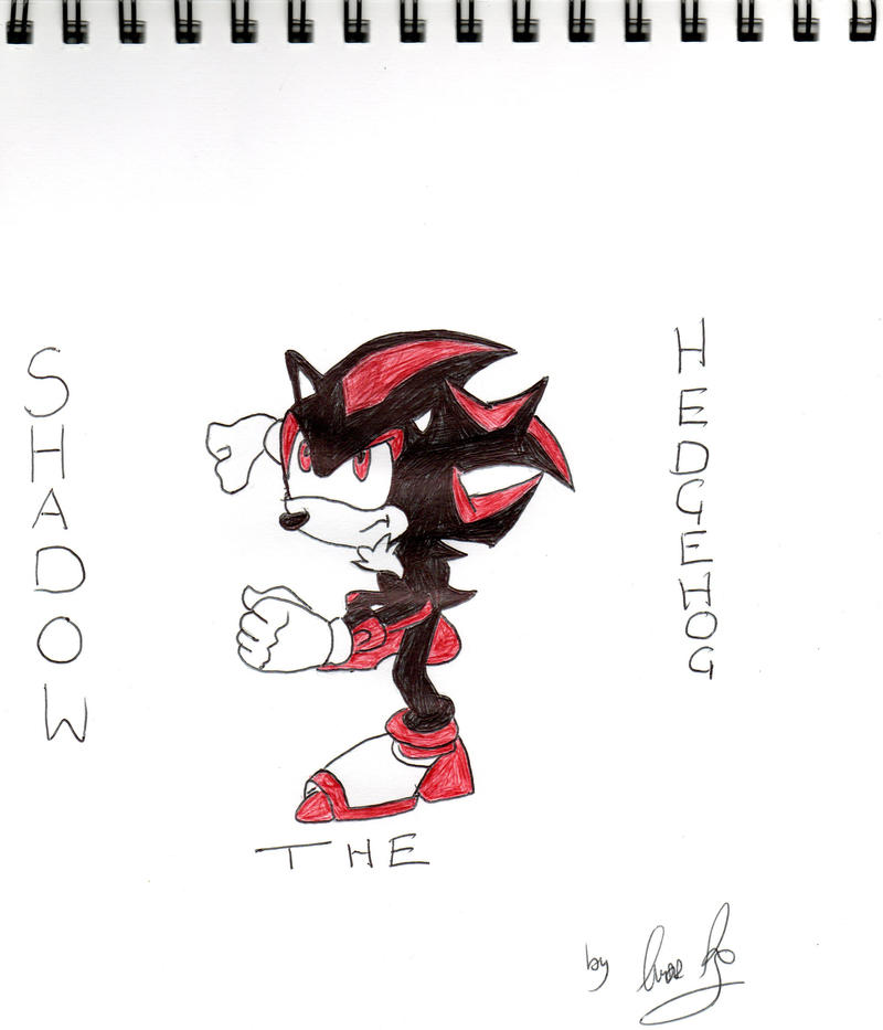 Toonsite Shadow Shadow the Hedgehog by CCW0708 on DeviantArt