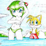 tails and cosmo en la playa 4