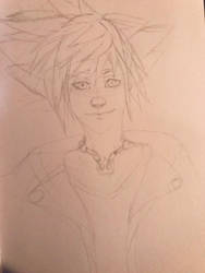 Sora WIP