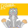 R197 'It's Romeo'