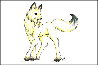 White Wolf