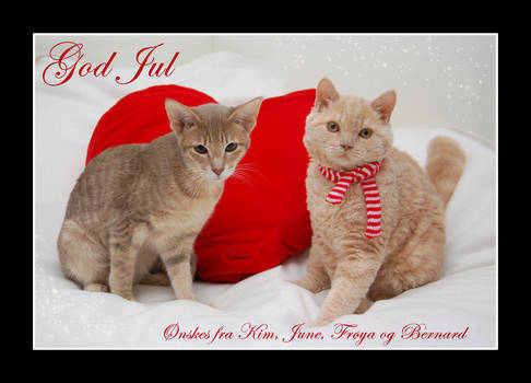 Christmas card 2008