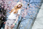 Cherry Blossom by JackvanJohn