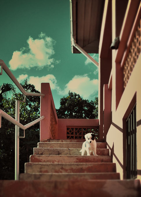 Tiff - On Stairs