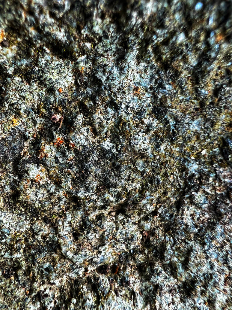 Calcified Rock by RobyOny on DeviantArt