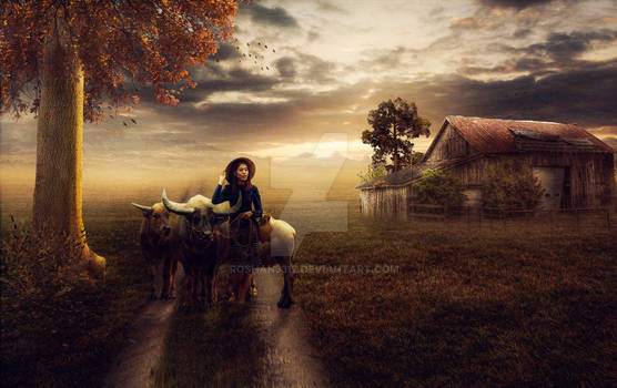 Buffalo girl Photo Composite