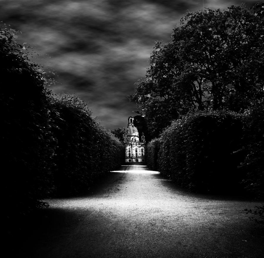 Dark Garden by Personnel-of-Death on DeviantArt