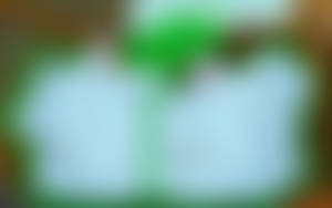 Lahla and Peeka's Disappearing Act