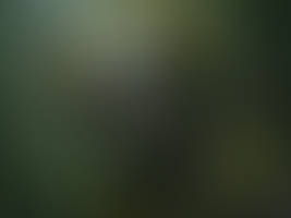 A cyborg succumbs to the forest