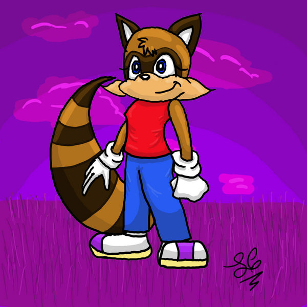 sonic raccoon character by KizzyCannon on DeviantArt