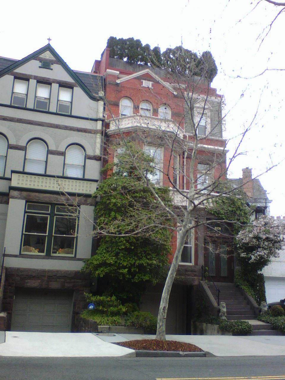 Roof trees