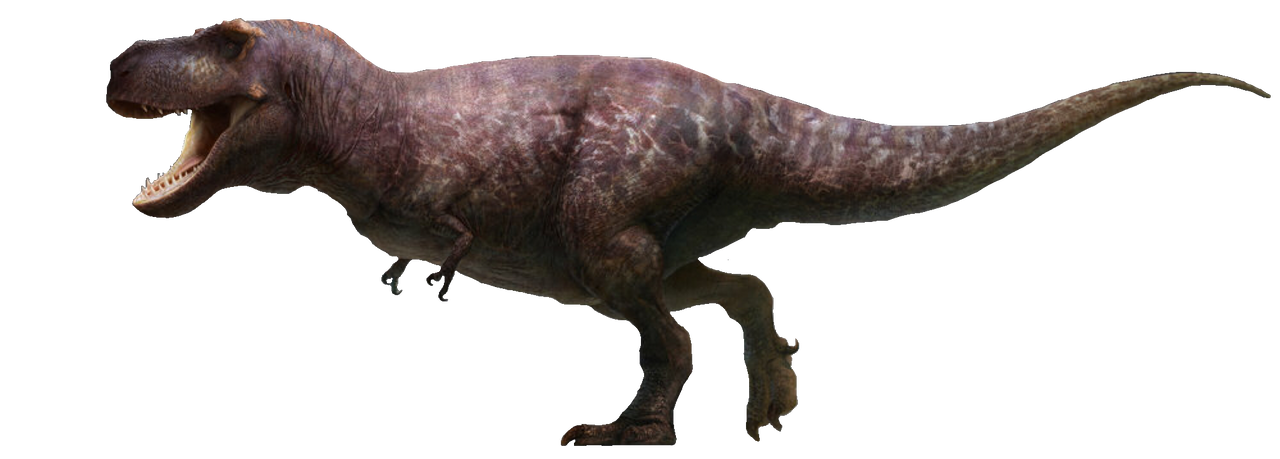 Saurian Tyrannosaurus Rex Transparent Ver.2! by Jacksondeans on DeviantArt