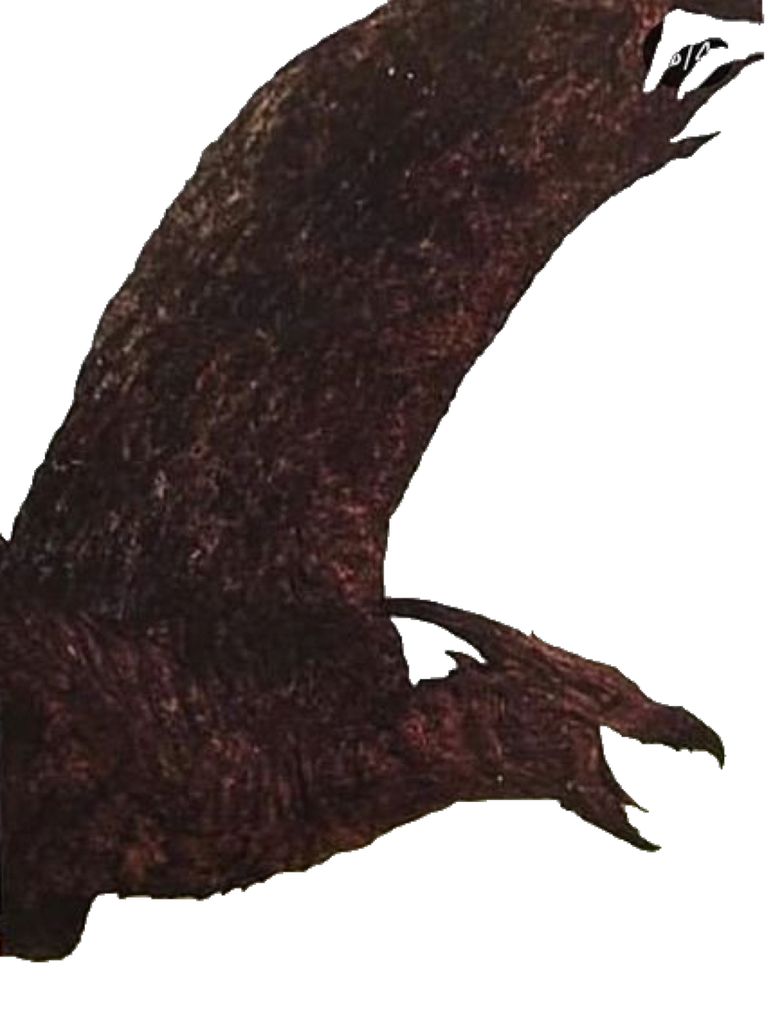 Rodan 2019 Transparent! by Jacksondeans on DeviantArt