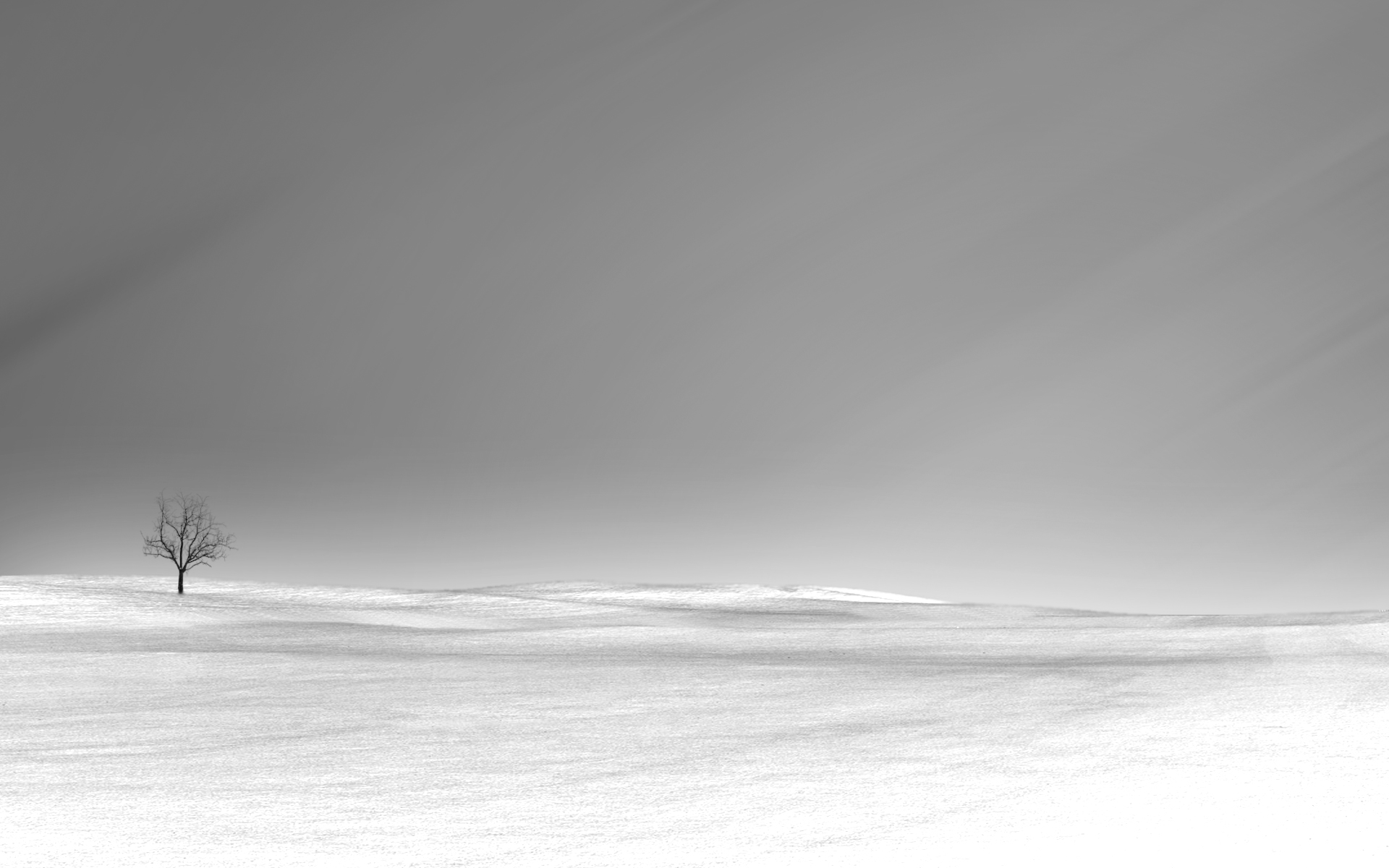 Alone