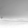 Alone