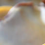 Mushroom-1