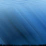 In the Lake