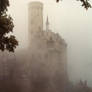 Castle in the fog