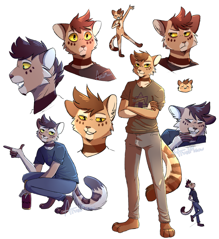 Zak attack (commission) by ArualMeow on DeviantArt