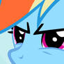 Rainbow Dash Sees What You Did There