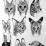 Serval Cat Designs