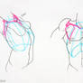 shoulder bone/ rib cage study 4