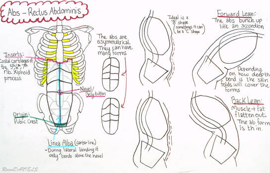 Explore the Best Proko Art | DeviantArt