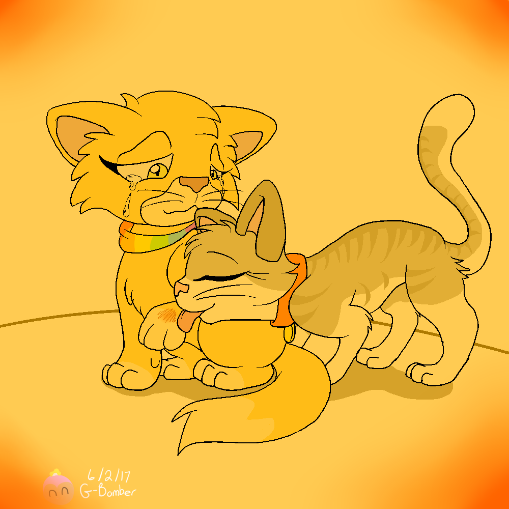 Pride Kitties- Healing