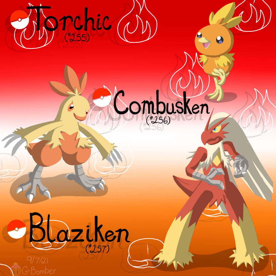 Torchic Evolution Path The Torchic Line by G-Bomber on DeviantArt