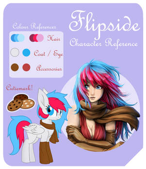 Reference sheet for Flipside!