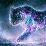 The Starborn Tiger