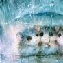 Rainproof Friends