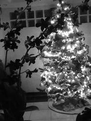 *Contest Entry* A Black and White Christmas